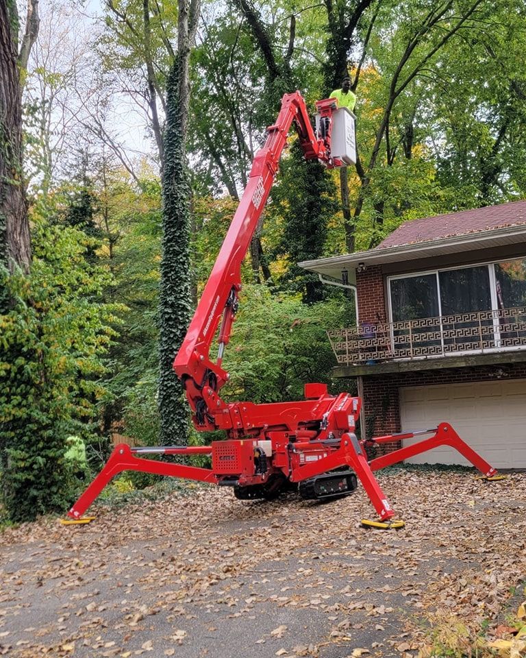 Tree Trimming for F & F Tree Service in Beavercreek, OH
