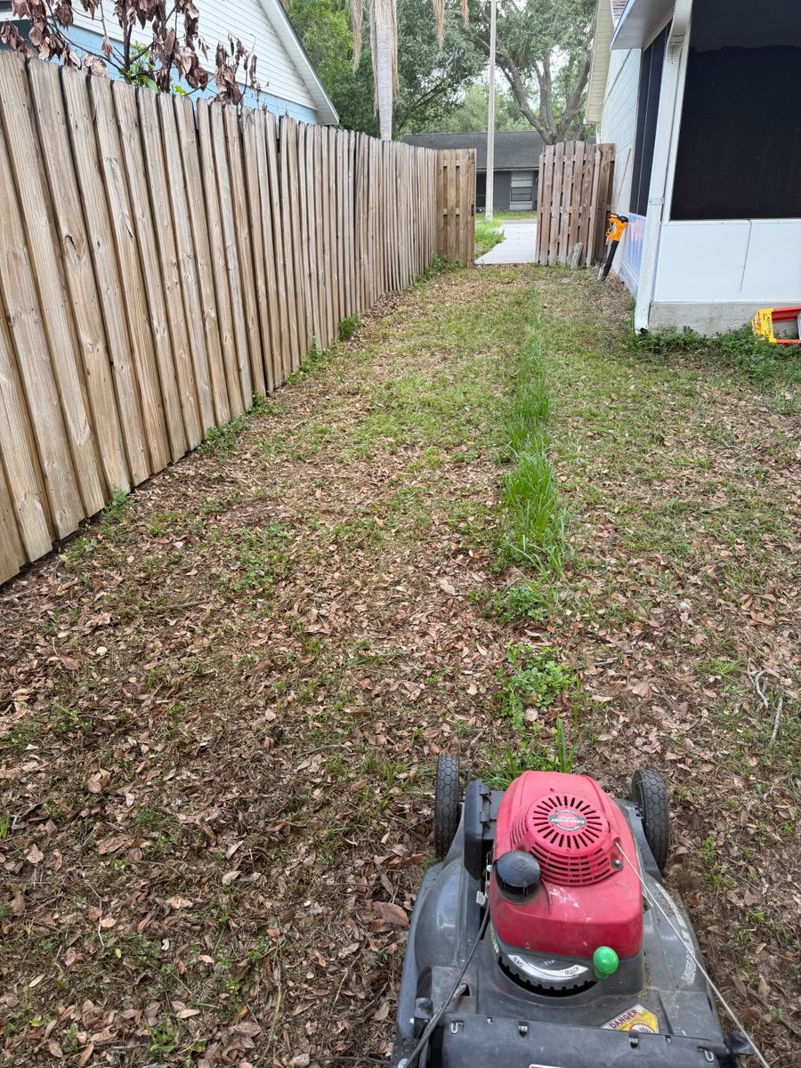 Lawn Maintenance for The Yardman in Tampa, FL