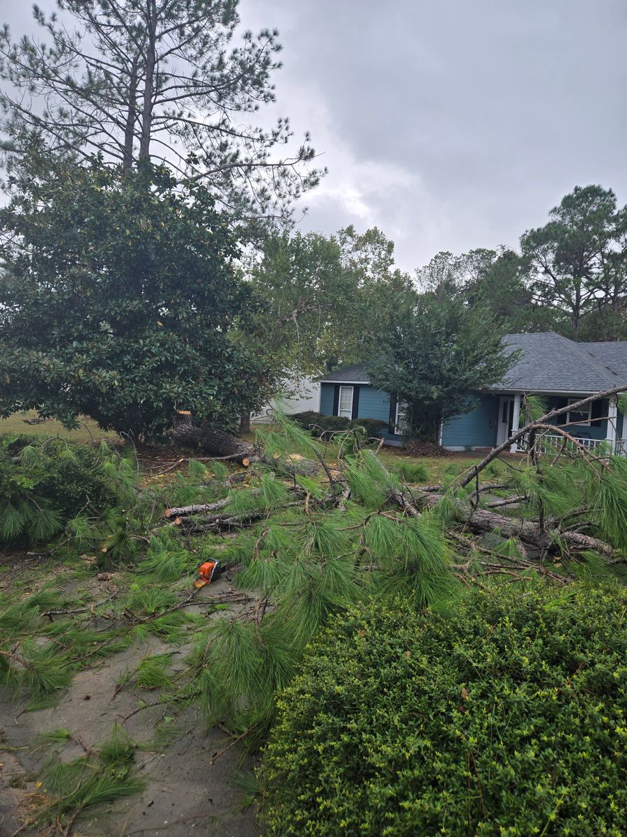 Tree Trimming for Southern Shade Property Service in Ray City, GA