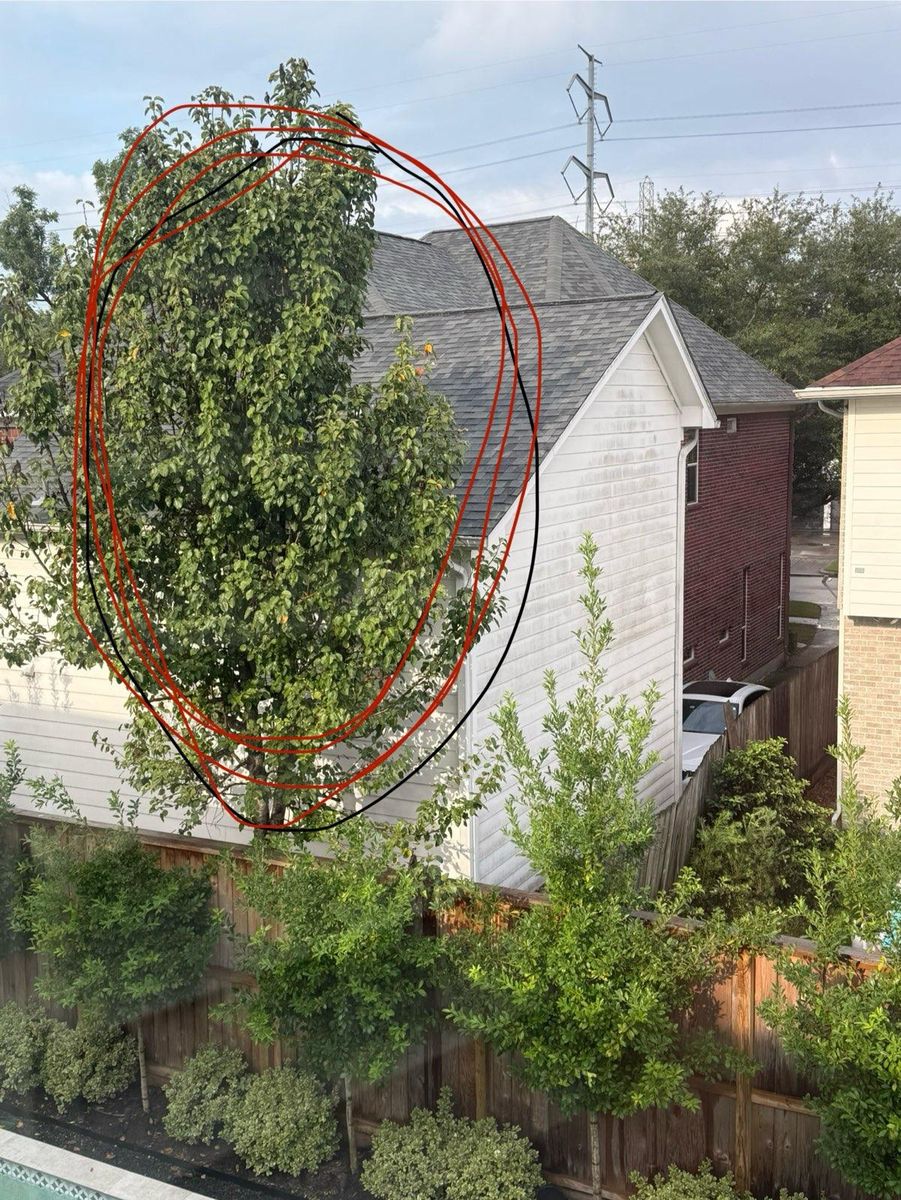 Tree Removal for Servin's Tree Care  in Houston, TX