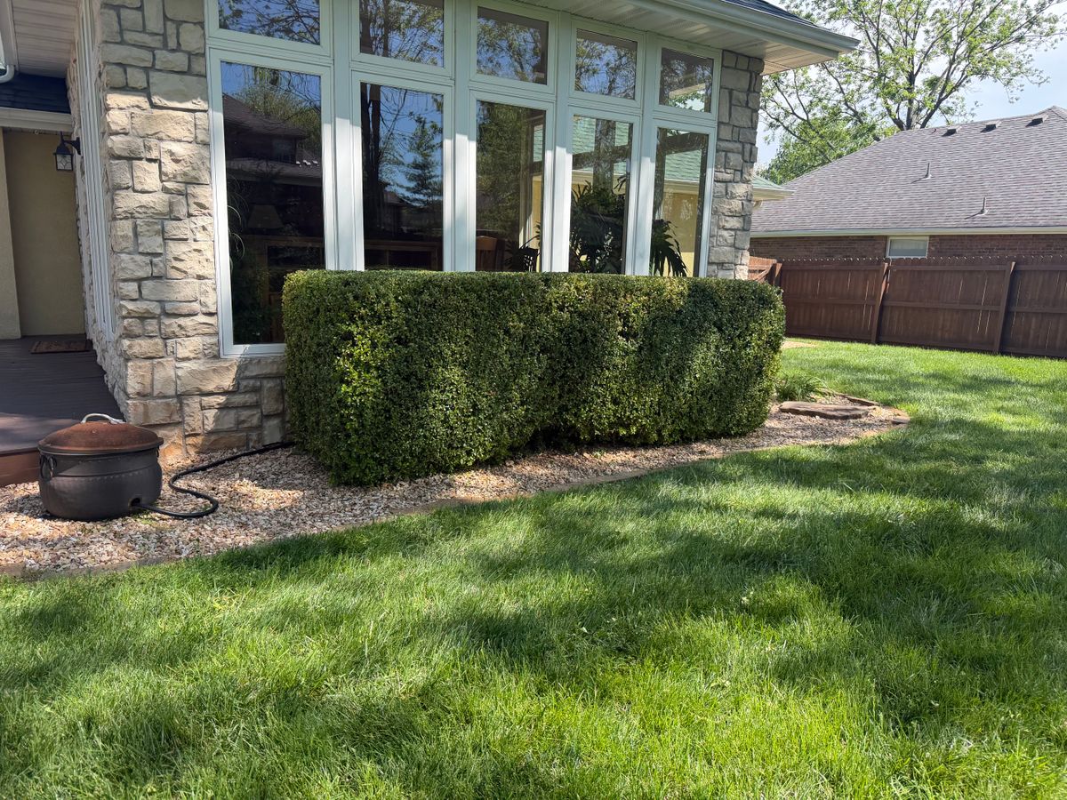 Lawn Mowing for Mowraculous Lawn Care LLC in Republic, MO