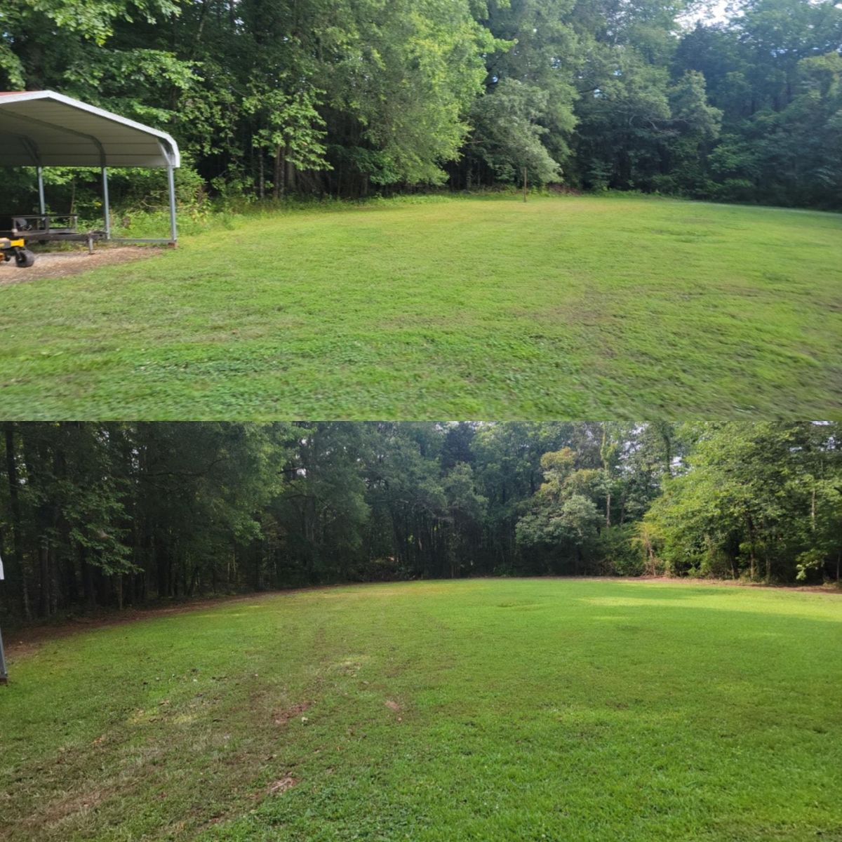 Fall and Spring Clean Up for Piedmont Lawn and Landscaping in Lexington, NC