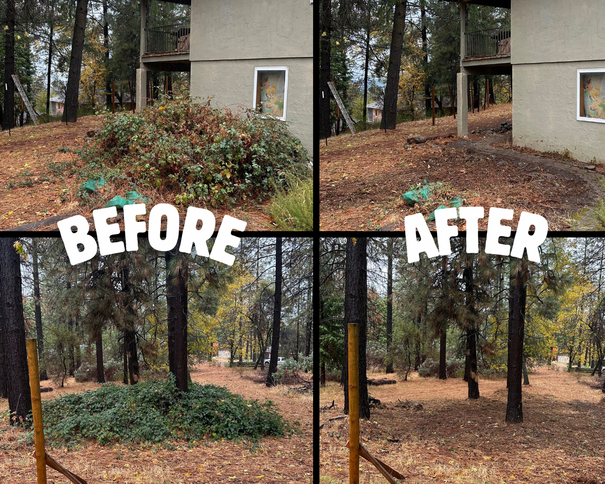Defensible Space for Tyco Forest Management in Placerville, CA