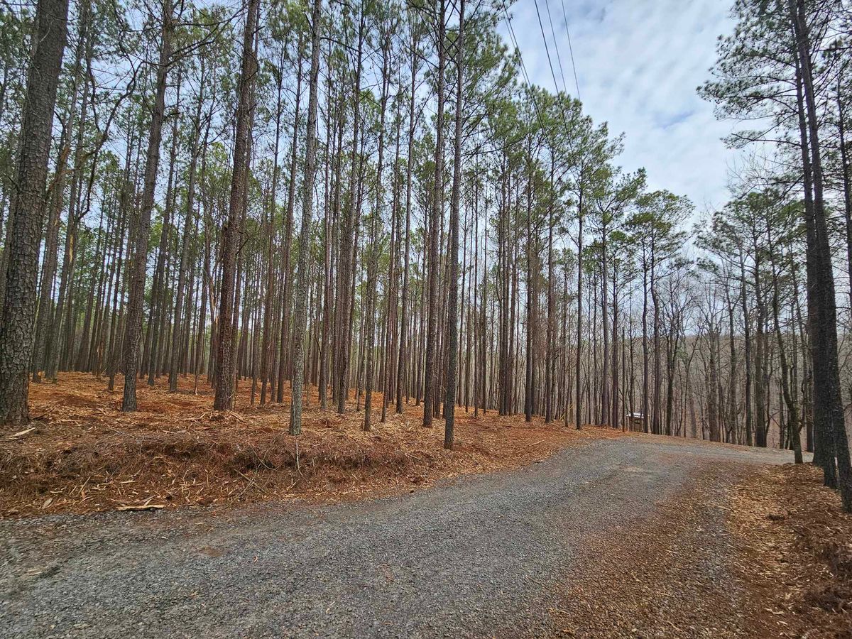 Brush mowing & Forestry mulching for Jason Scott Grading & Clearing in Williamson, GA