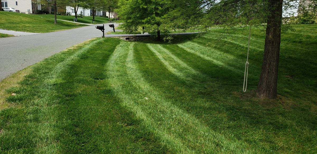 Lawn Maintenance for Sam I AM Property Solutions in Sunderland, MD