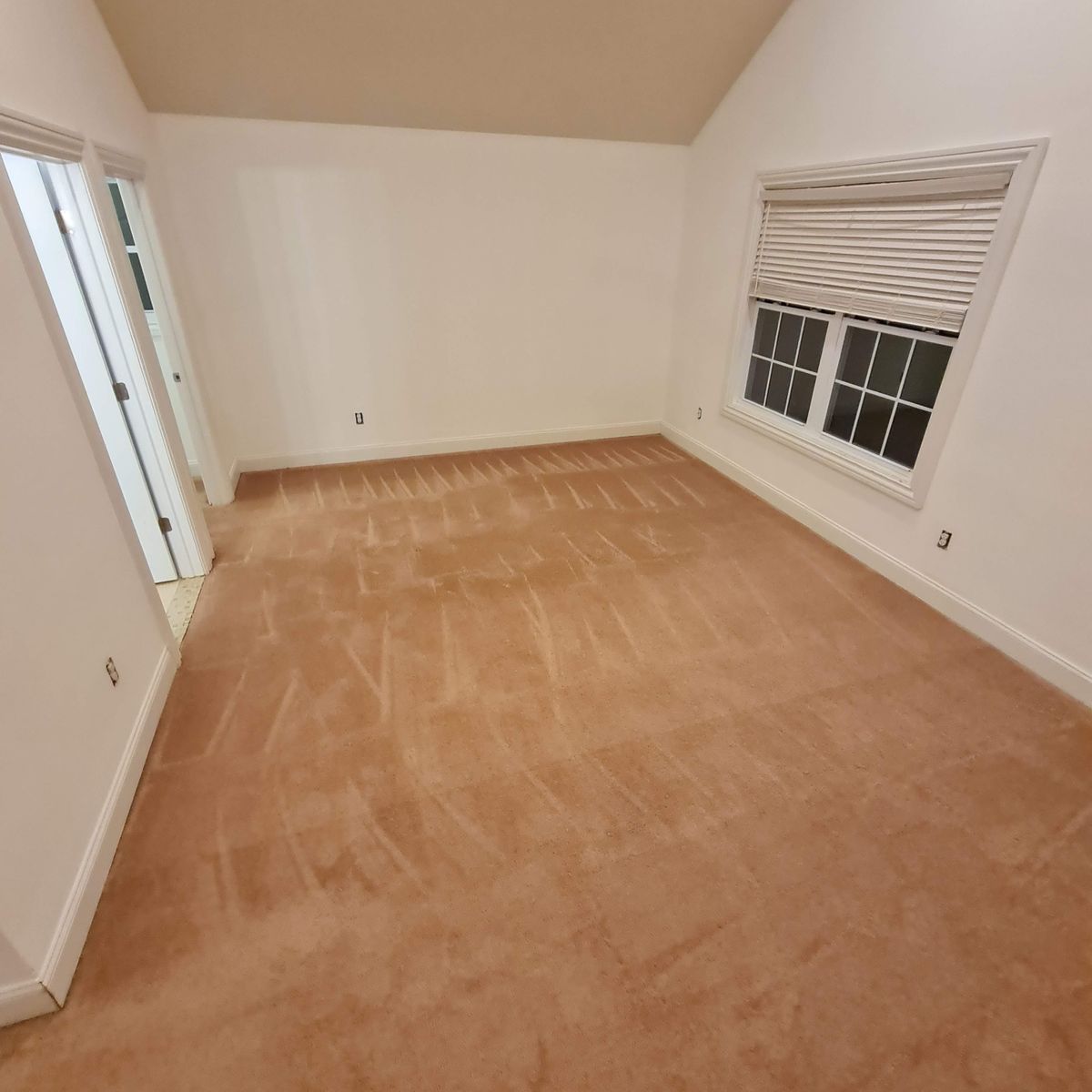 Deep Carpet Cleaning for RFC Maintenance Services in Paterson, NJ