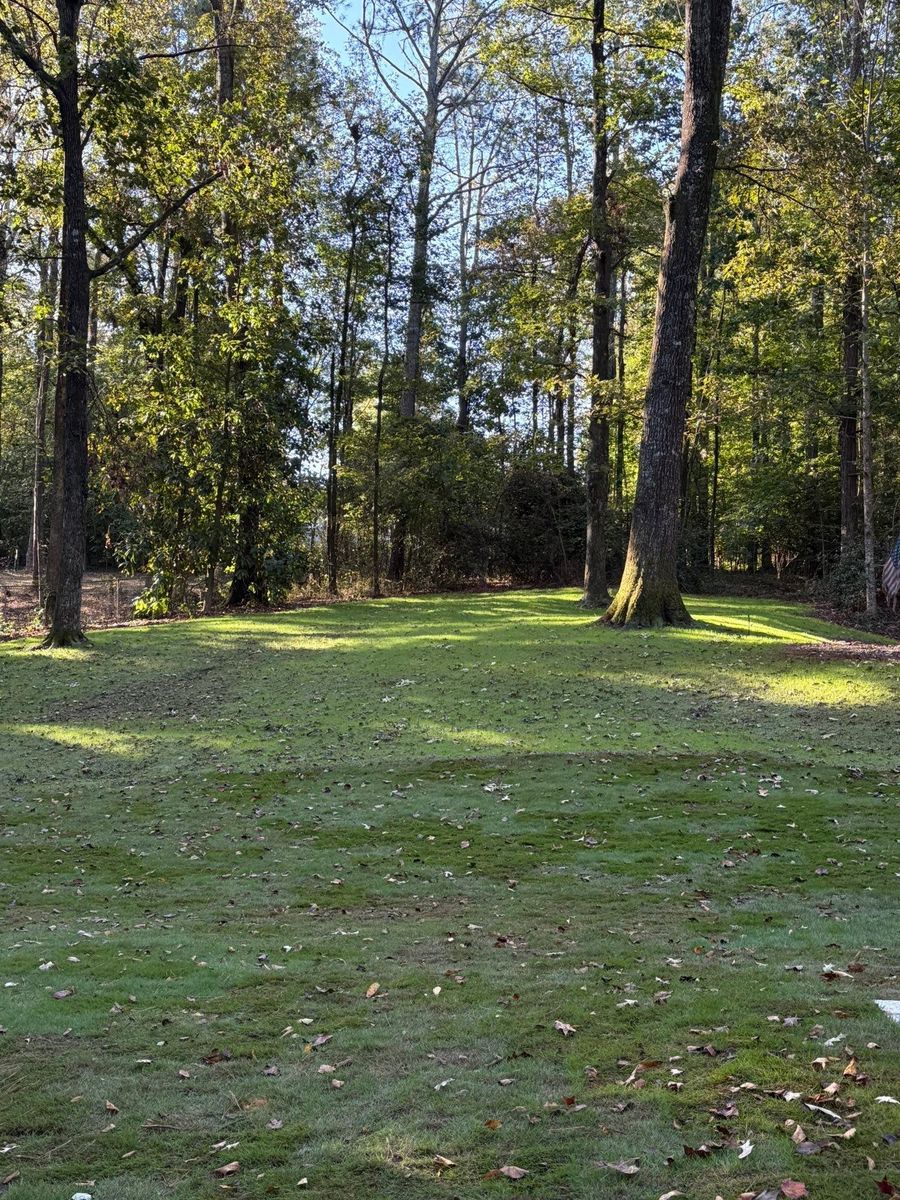 Hydroseeding for Deeply Rooted Lawns – Hydroseeding & Sod Installation Services in Winder, GA