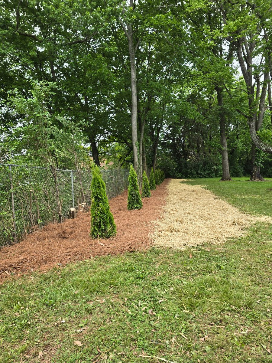 Mulch Installation for Optimum Tree Service And Landscaping in Bowling Green, KY