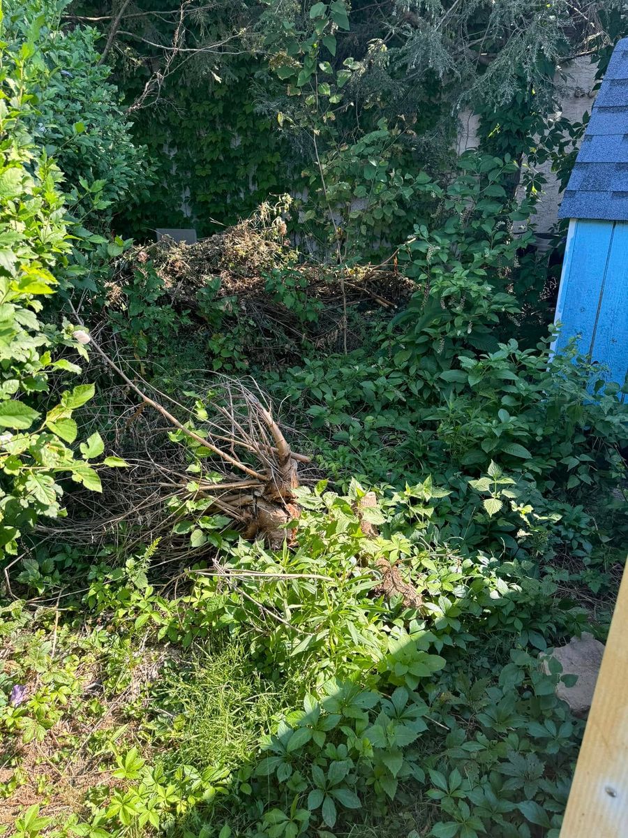 Spring Clean Ups for Landscape & Lawn Care Pros in Allentown, PA