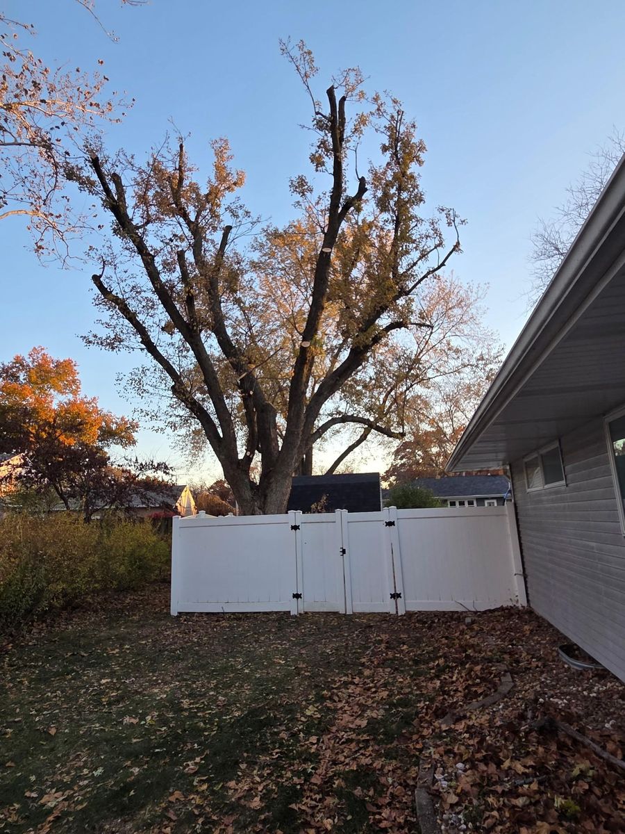 Tree Trimming for Lawn Ranger Yard And Tree Service LLC in Ottumwa, IA