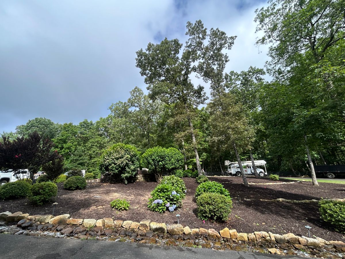 Tree Trimming for Chipper's Tree Service  in Fort Payne, AL