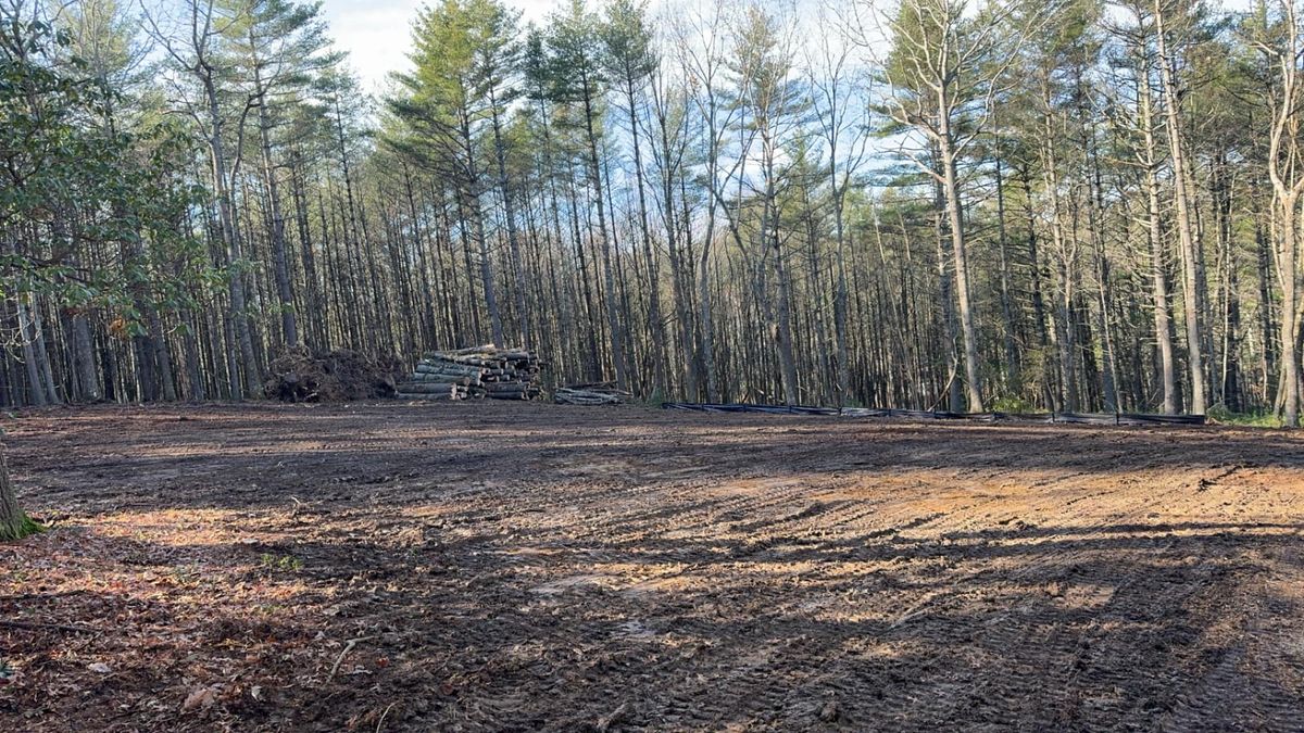 Tree Removal for Old South Grading in Glade Valley, NC