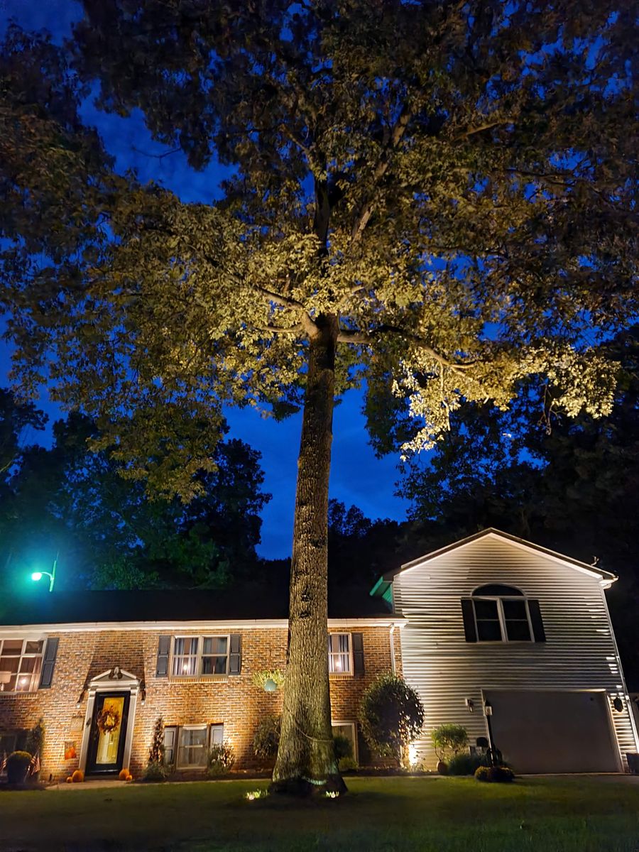 Landscape Lighting for SoDel Stone Works & Construction LLC in Sussex County, DE