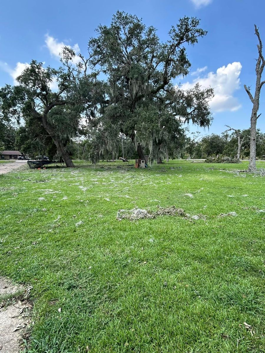 Clearing / Grubbing for Divine Construction Services in Brazoria County, TX