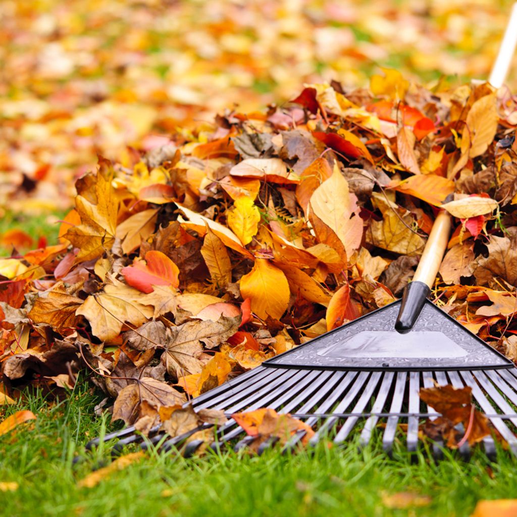 🍁 NB Fall Clean-Up Services for New Beginning Landscape & Remodel LLC in Atlanta, GA