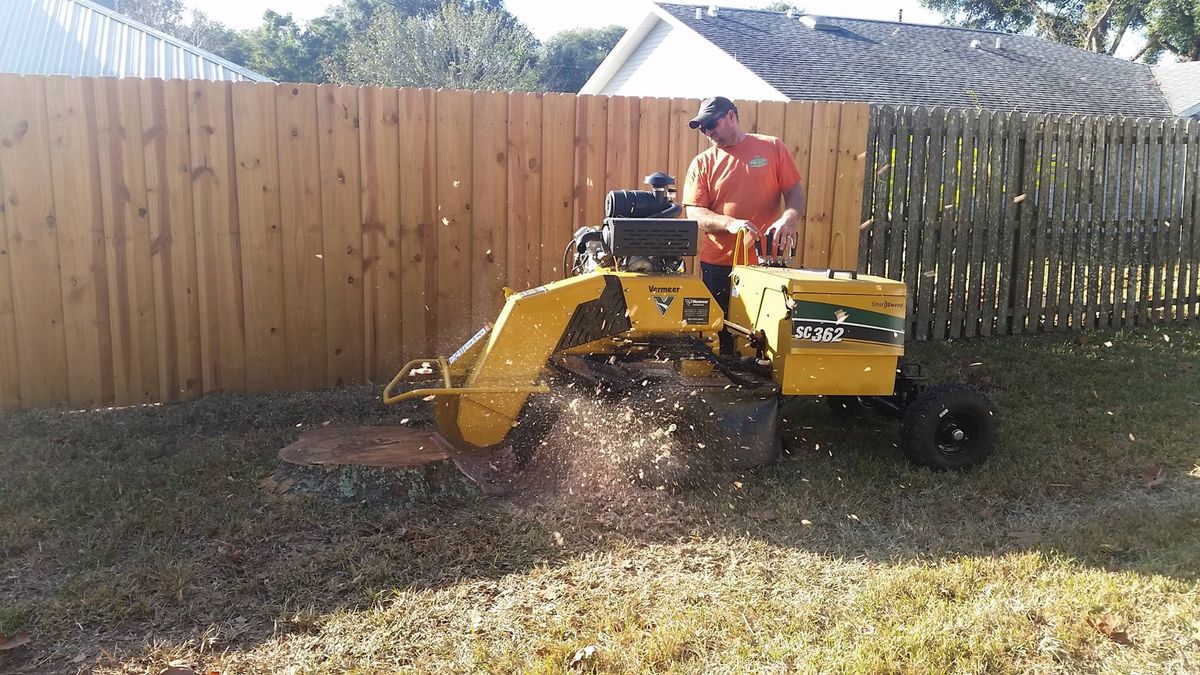 Stump Removal for Daniel Hickey’s Tree Service in DeLand, FL