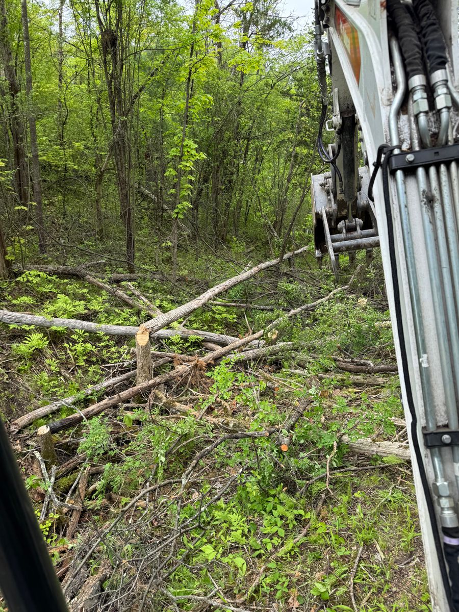 Storm Cleanup for Sterlings Tree Removal in Cobleskill, New York