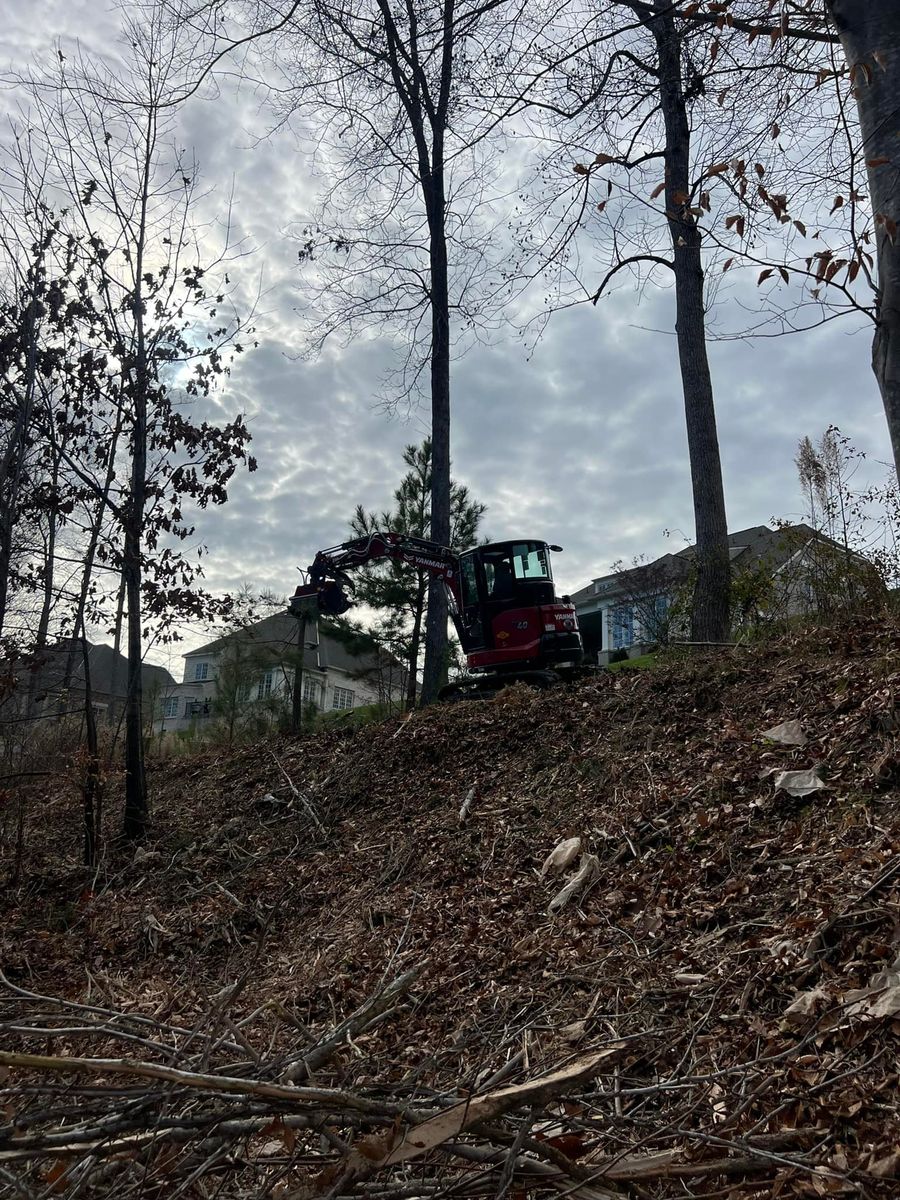 Forestry Mulching for Cedar Point Land Management in Richmond, VA