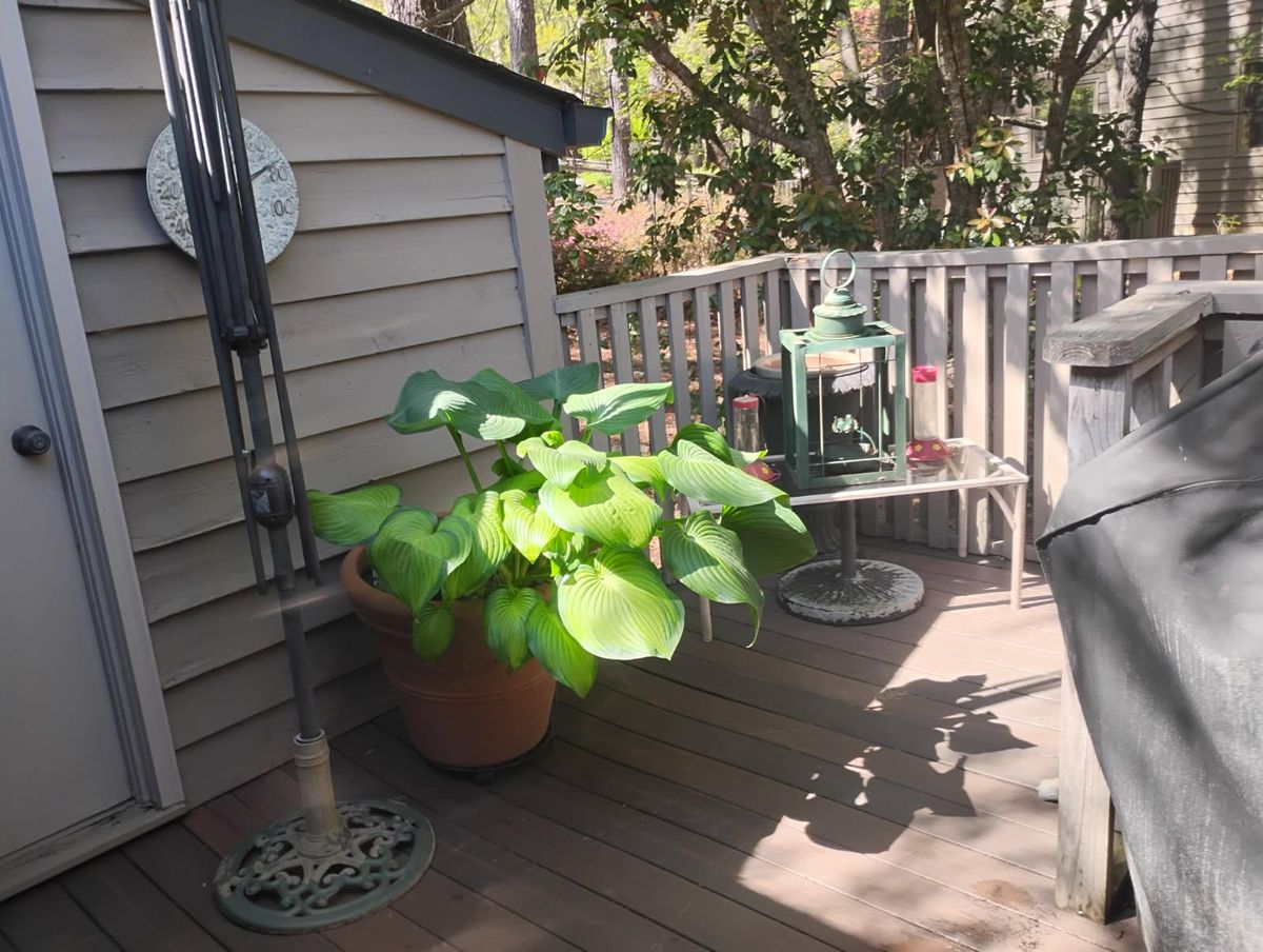 Residential Cleaning for Minor Deep Cleaning Services in Durham, NC