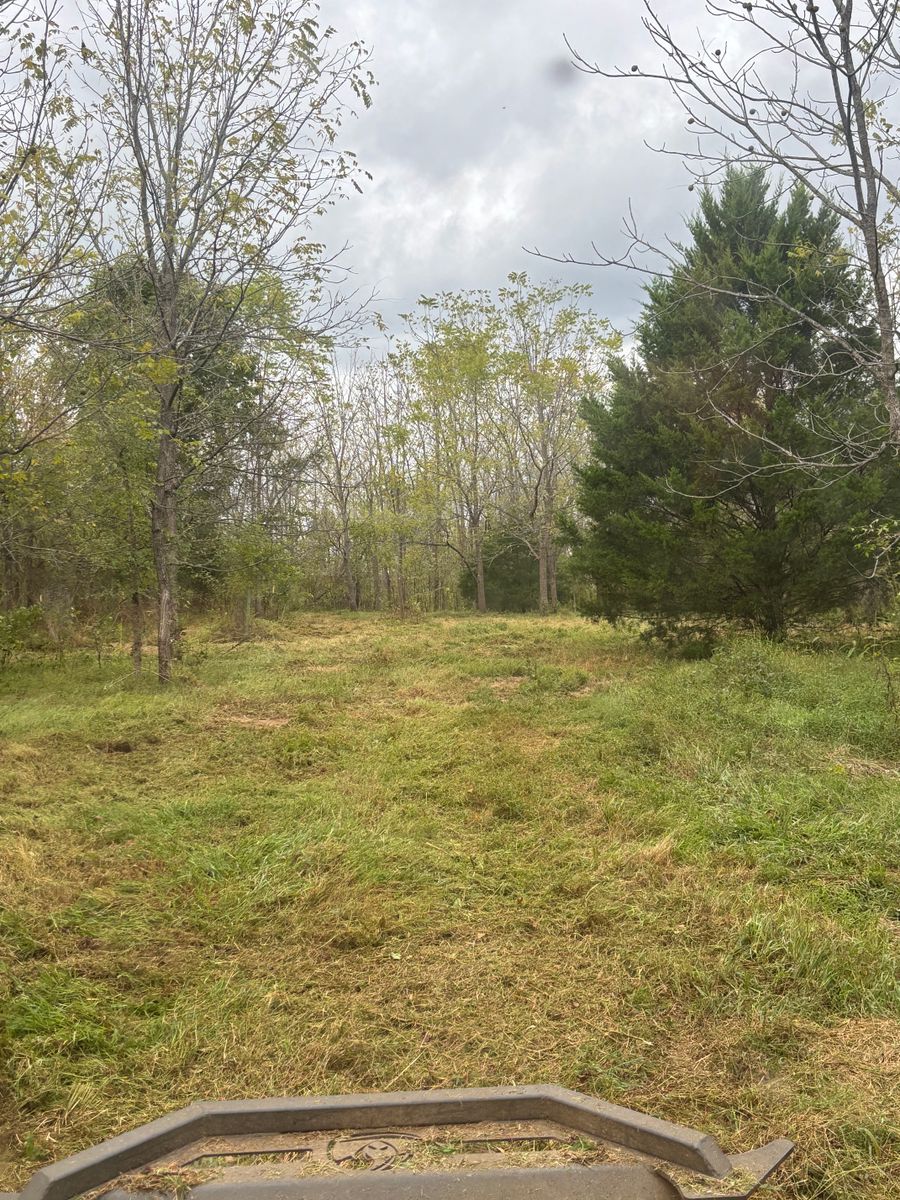Land Clearing for Gregory Grass and Lawn in Lafayette, TN