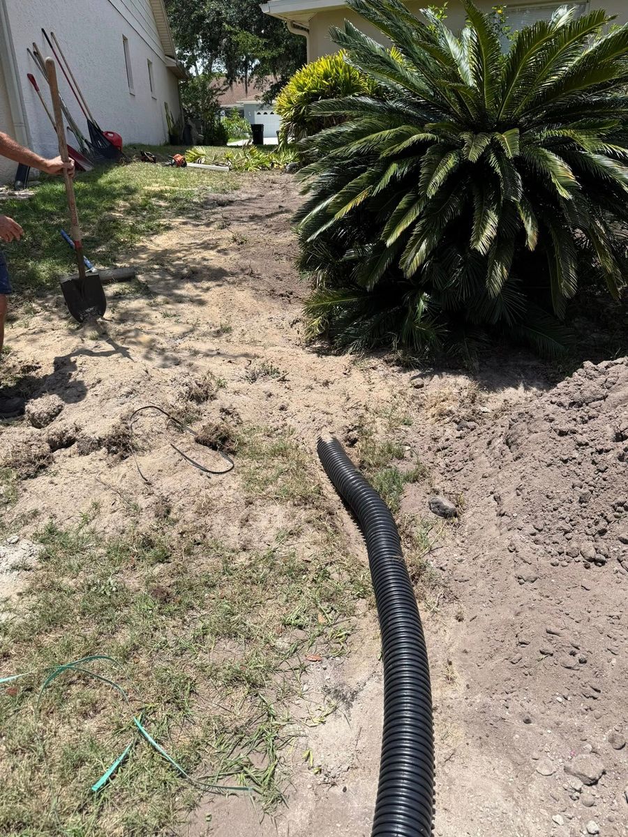 Fall Clean Up for Amerigrown Tree And Lawn in Apopka, FL