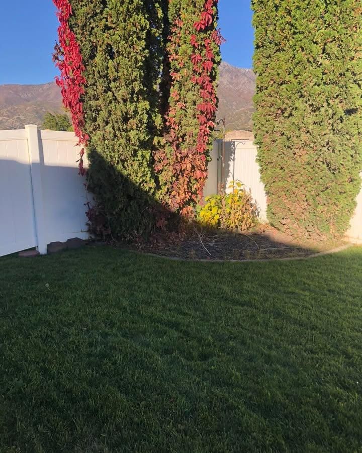 Shrub Trimming for Duncan Yard Services in Bountiful, UT
