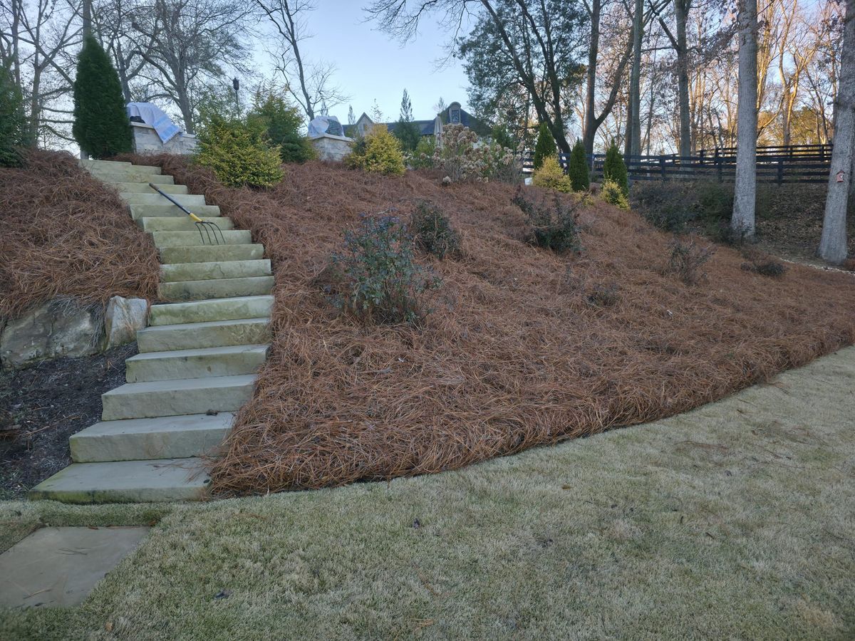 Landscaping for GA Bear Dumpster Rental in Cumming, GA