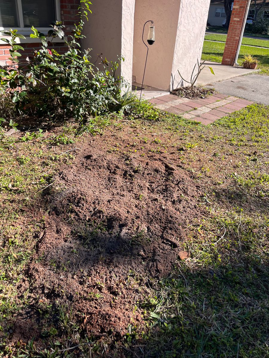 Stump Removal for KB’s Stump Removal in Seminole, FL