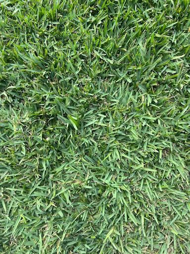 Sod Install for C4 Ground Control in Oviedo, FL