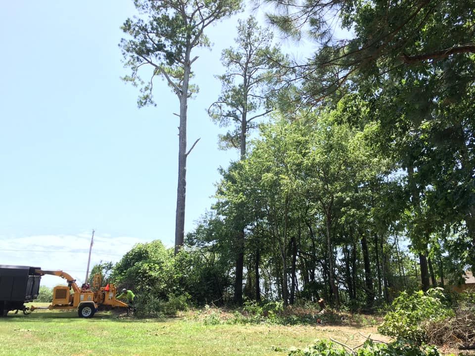 Brush Clearing for Clear Tree Land Solutions in Dawson County, GA