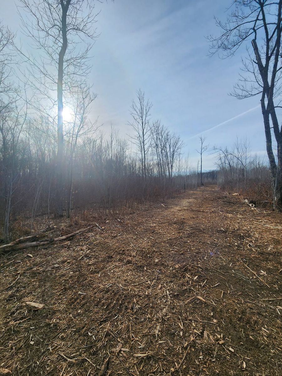 Tree & Shrub Care for Northern Ridge Landscape - Dock & Lift Service in McGregor, MN