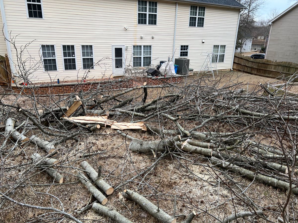 Debris Cleanup for Prime Lawn LLC in Conyers, GA