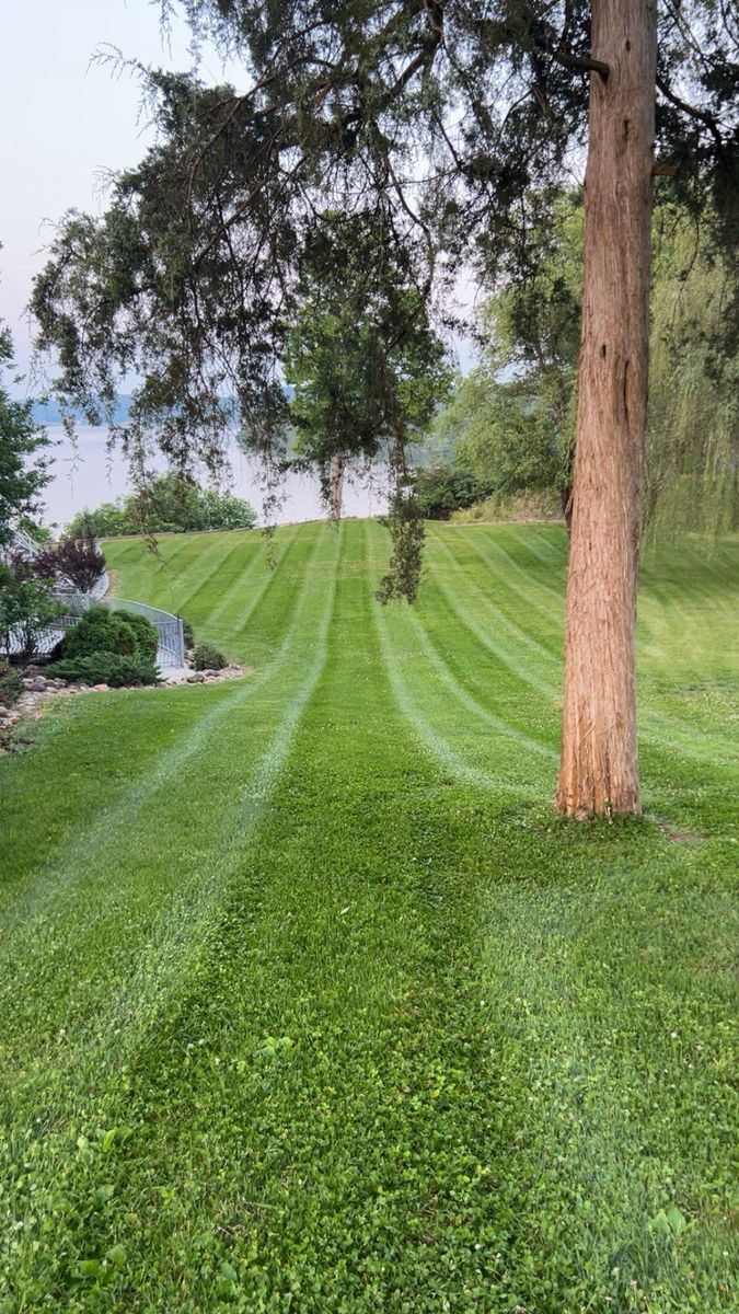 Mowing for East Premier Lawn Care in Kingston, TN