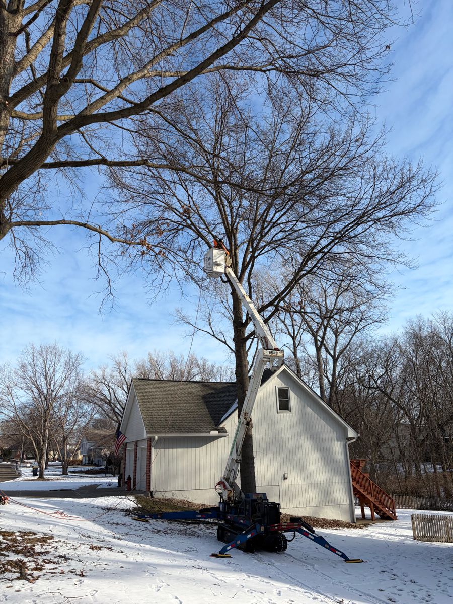 Tree Trimming for Cross Family Tree Service in Kearney, MO