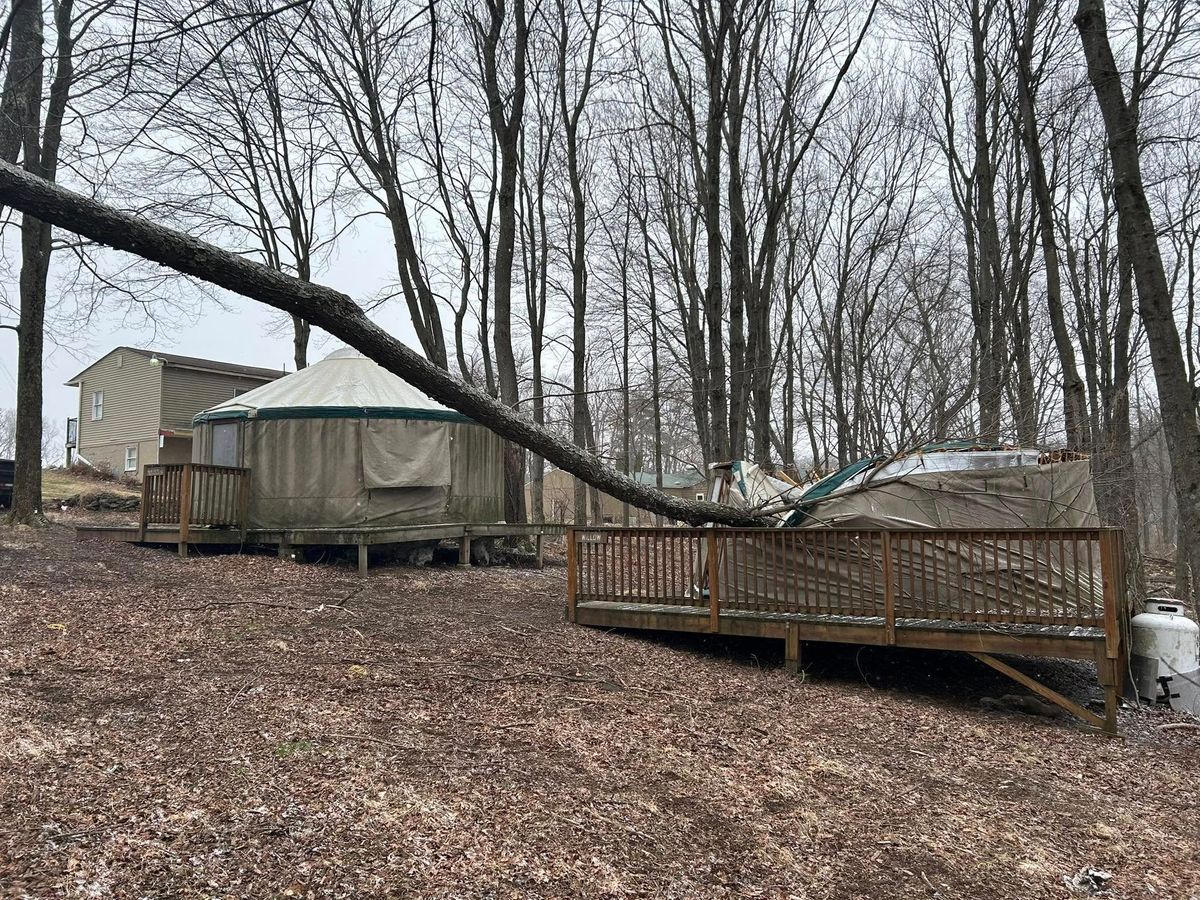 Tree Trimming for All American Tree Services LLC in Dallas, PA