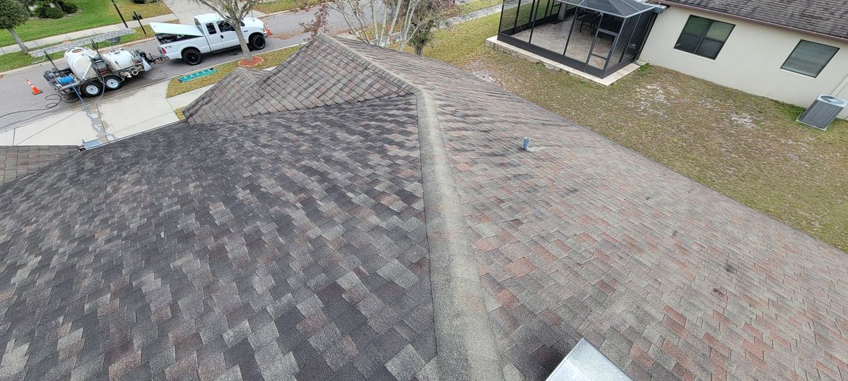 Shingle Roof Cleaning for Blue Stream Roof Cleaning & Pressure Washing in Tampa, FL