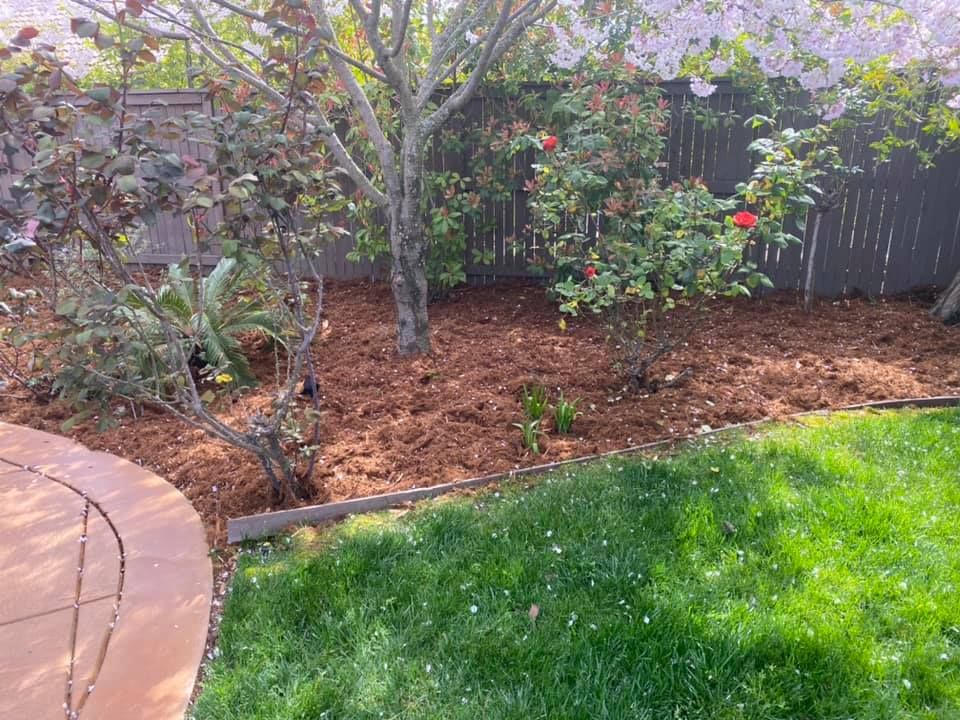 Fall and Spring Clean Up for Folsom Lake Landscaping in El Dorado Hills, CA