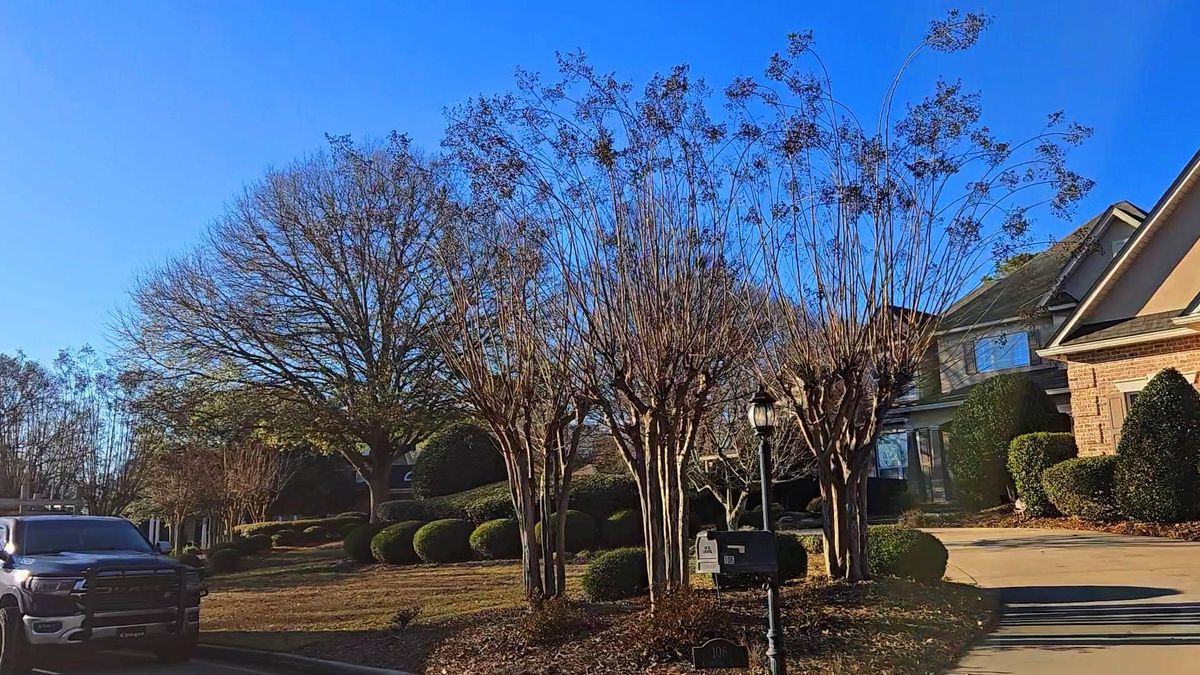 Landscape Installation for Zepeda's Mowing in Fort Valley, GA