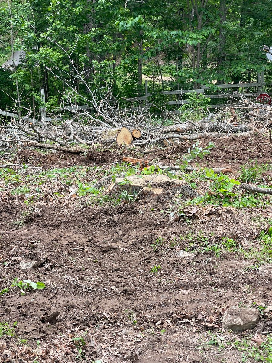 Debris Removal for Maness Trucking & Excavation in Lexington, TN