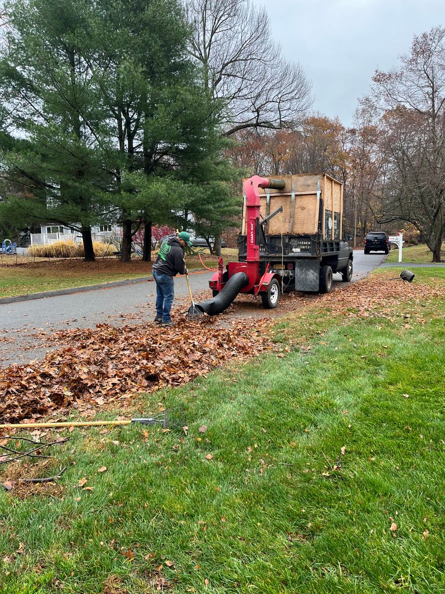 Fall Clean Up for Zaldivar’s Lawn Care INC  in Peekskill, NY