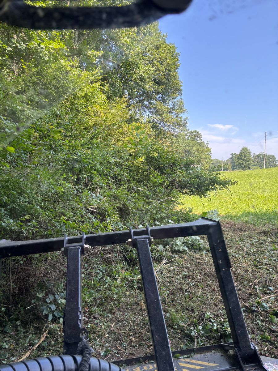 Land Clearing for Gregory Grass and Lawn in Lafayette, TN