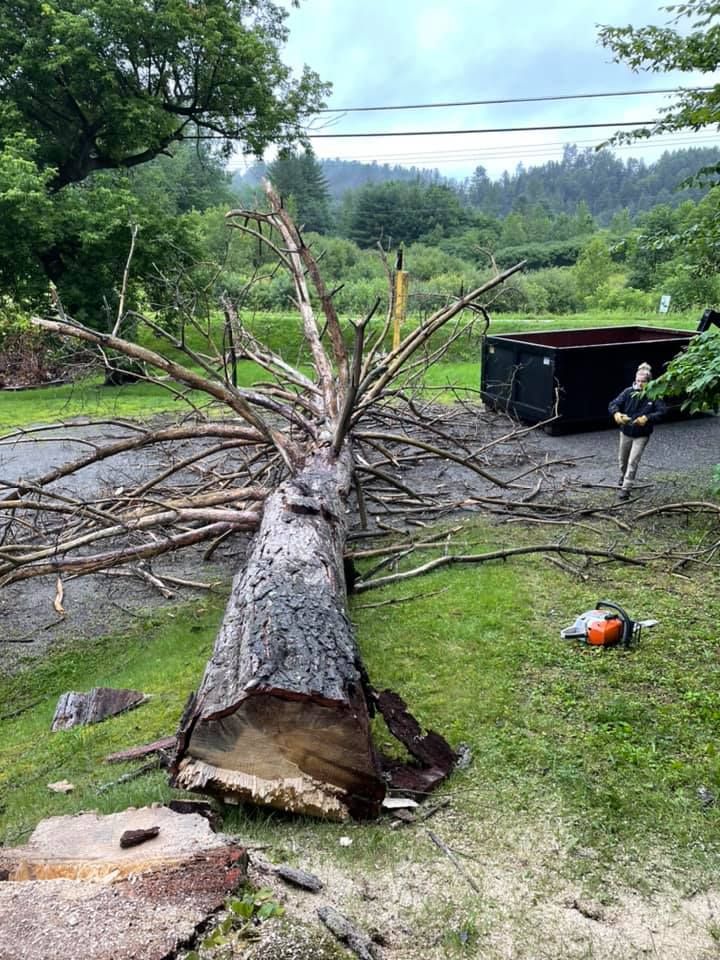 Land Clearing & Demolition for Andy Naylor Excavation in Stowe, VT