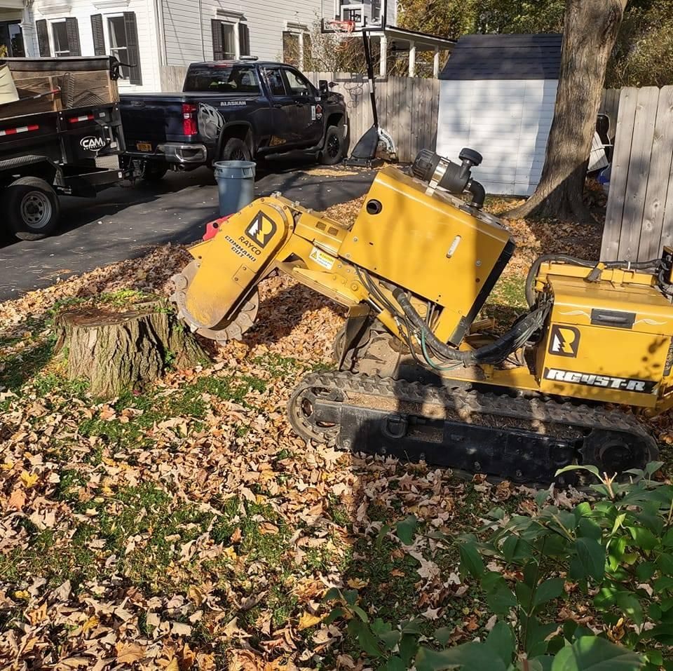 Stump Grinding for TH Property Service, LLC in Manlius, NY