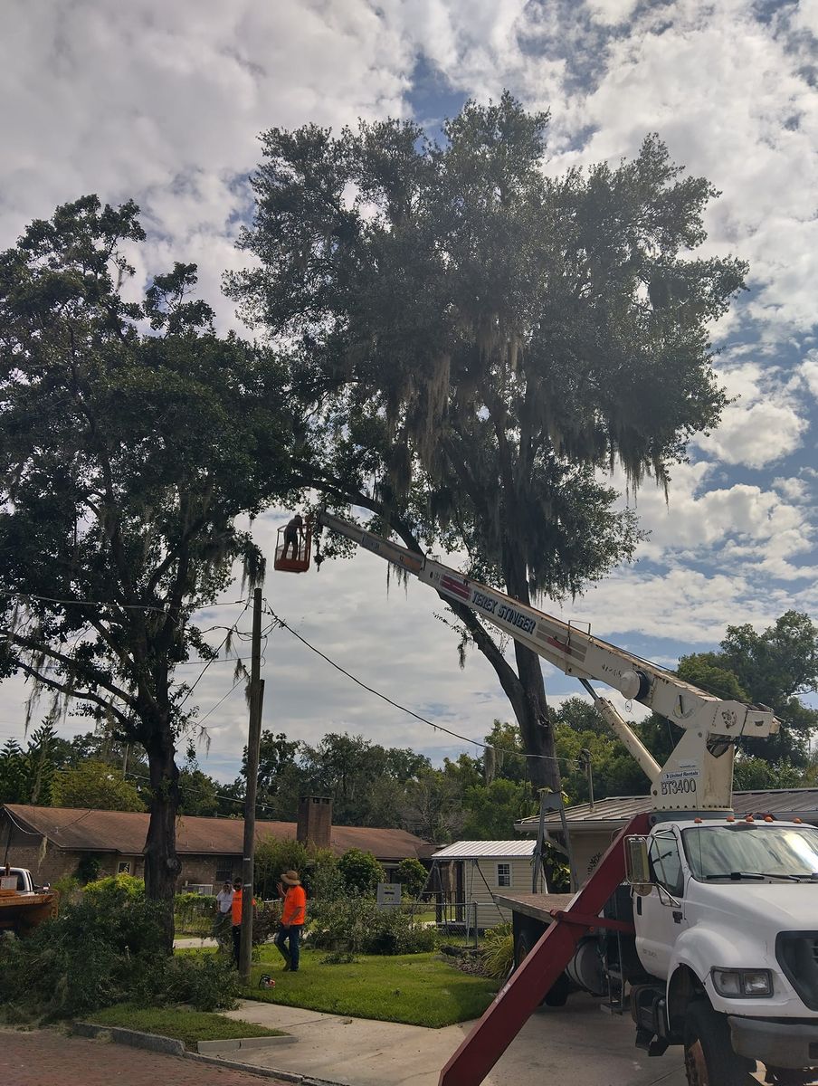 Skid Steer for Bills Tree Service in Valrico, FL