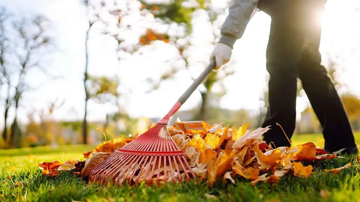 🍁 NB Fall Clean-Up Services for New Beginning Landscape & Remodel LLC in Atlanta, GA