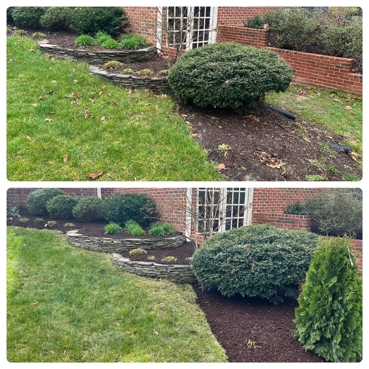 Mulch Installation for Branch Out Tree Care LLC in Fredericksburg, VA