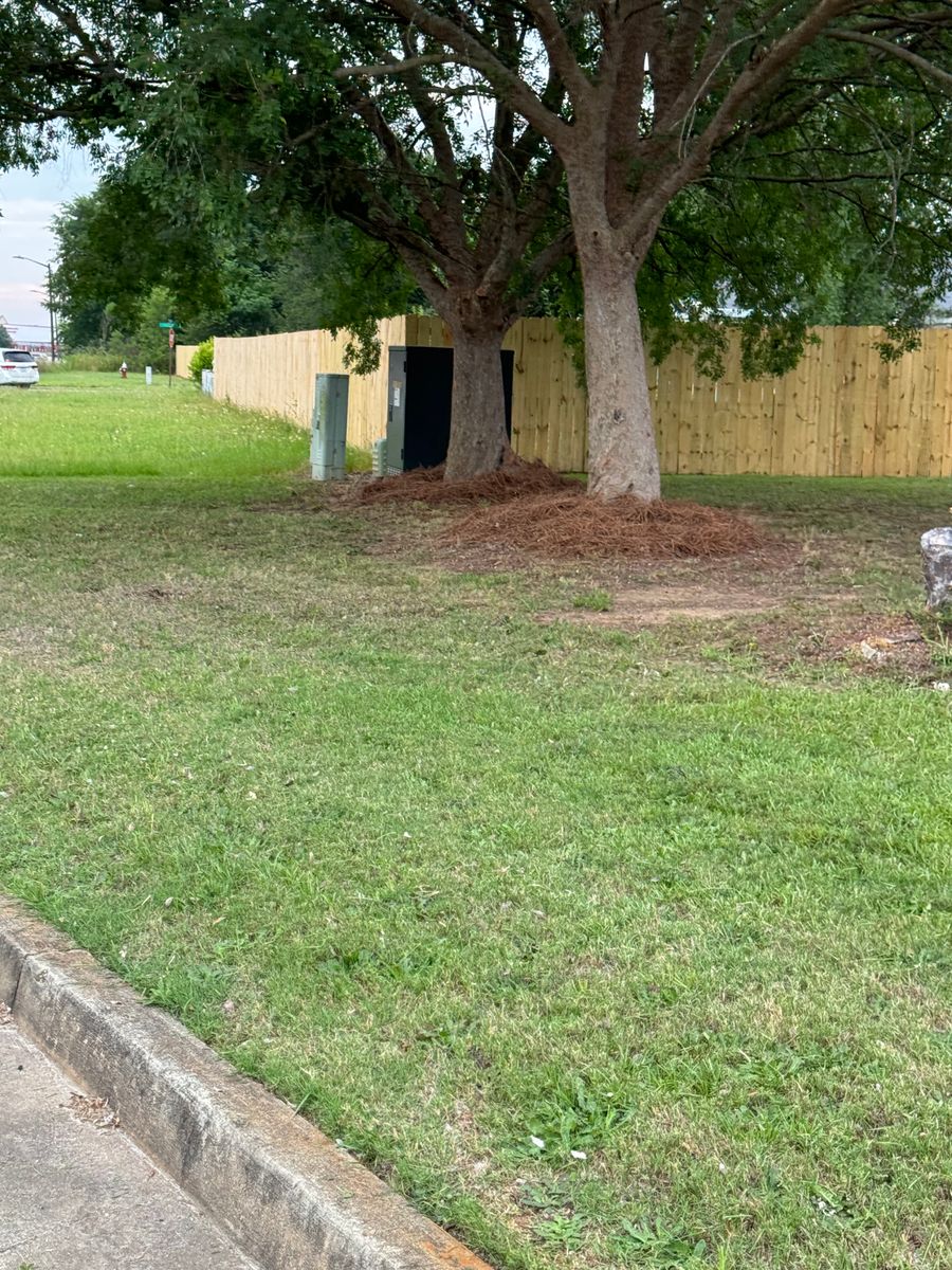 Fencing for Camalett Services in Perry, GA