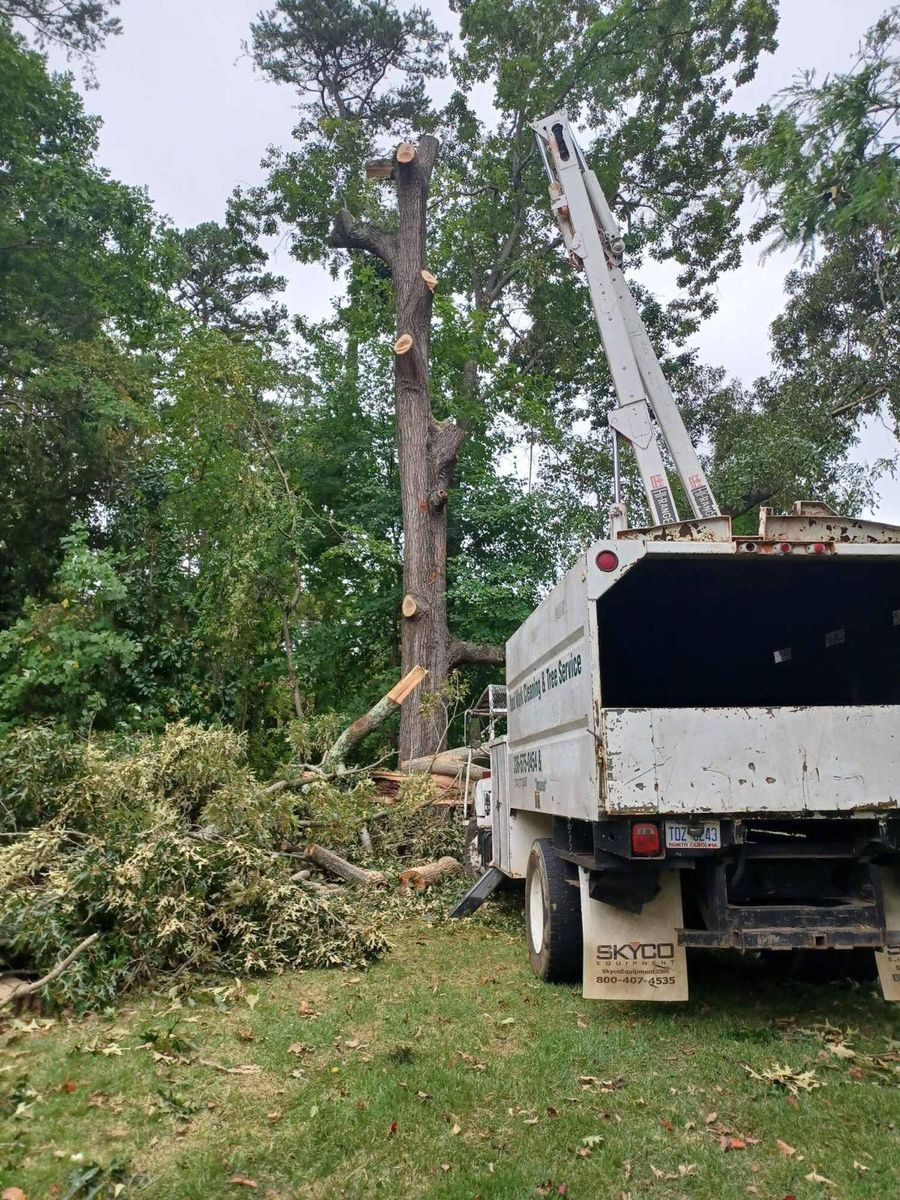 Tree Trimming for K-2 Tree Service in Shelby, NC