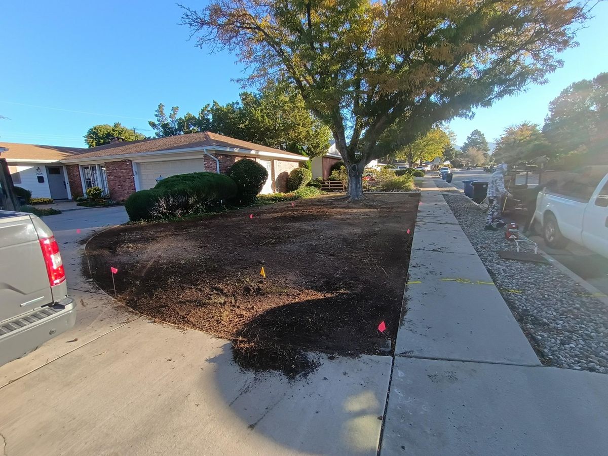 Sod Installation for 2 Brothers Landscaping in Albuquerque, NM
