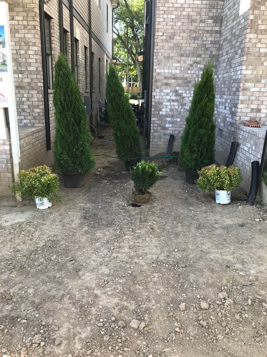 Shrub Trimming for Grass Management in Nashville, TN